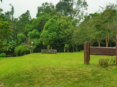 Yağmurlu bir günde Khao Luang Dağı 'ndaki Ramkhamhaeng Ulusal Parkı' nda Sukhothai Bölgesi 'nde sisle kamp yapmak için yeşil alan.