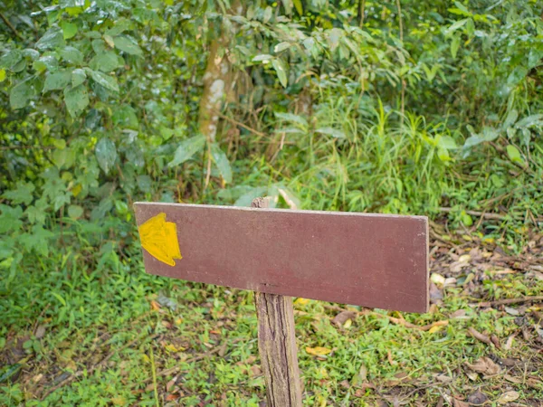 Ramkhamhaeng Ulusal Parkı Ndaki Khao Luang Dağı Ndaki Rehber Karakolu — Stok fotoğraf