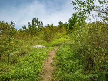 Ramkhamhaeng Ulusal Parkı 'ndaki Khao Luang Dağı' ndaki yürüyüş yolu, Tayland eyaleti.