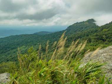 Tayland 'ın Ramkhamhaeng Ulusal Parkı' ndaki Khao Luang dağının tatlı çimenleri ve bulutlu gökyüzü manzarası.