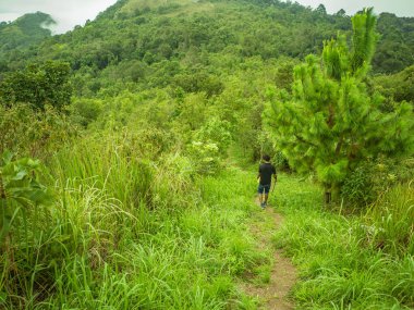 Trekker 'ın arkası, Tayland' ın Ramkhamhaeng Milli Parkı 'ndaki Khao Luang Dağı' nda yürüyor.