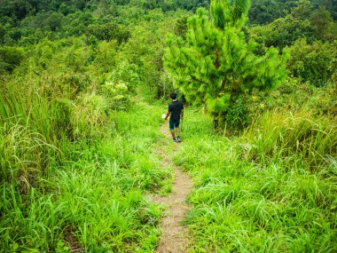 Trekker 'ın arkası, Tayland' ın Ramkhamhaeng Milli Parkı 'ndaki Khao Luang Dağı' nda yürüyor.