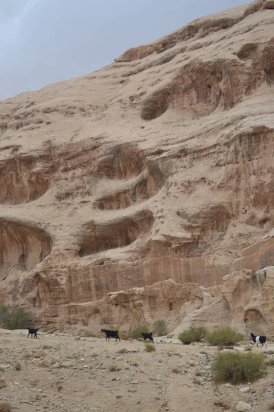 Petra Historisk Och Arkeologisk Stad Södra Jordanien — Stockfoto