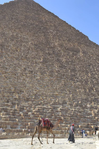 Wielki Sfinks Wielkie Piramidy Egiptu — Zdjęcie stockowe