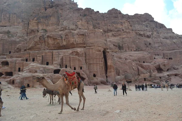 Petra Jordan 2019 요르단 남부의 역사적 고고학적 — 스톡 사진