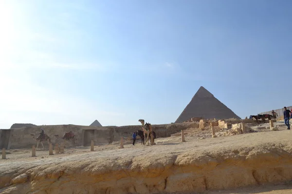 Великий Сфінкс Великі Піраміди Єгипту — стокове фото