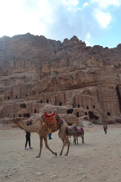 Petra Jordanie 2019 Ville Historique Archéologique Dans Sud Jordanie — Photo