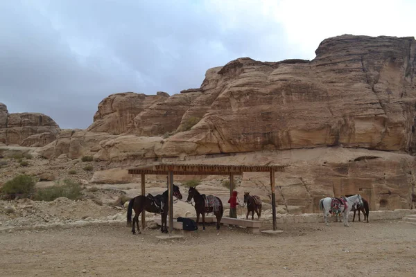 Petra Jordan 2019 요르단 남부의 역사적 고고학적 — 스톡 사진