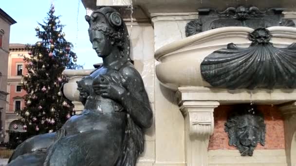 Fontana Del Nettuno Bologna Realizzata Dallo Scultore Jambolon — Video Stock