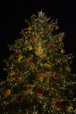 Bolonya sokakları, Noel ışıkları, şehir dekorasyonları, kemerler, arabalar.