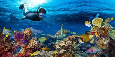genç erkekler snorkling sualtı mercan kayalığı manzara arka planda renkli balık ve deniz yaşamı ile derin mavi okyanus keşfetmek