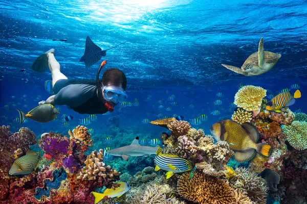 年轻男子 Snorkling 探索深海珊瑚礁景观背景在深蓝色海洋与丰富多彩的鱼和海洋生物 — 图库照片