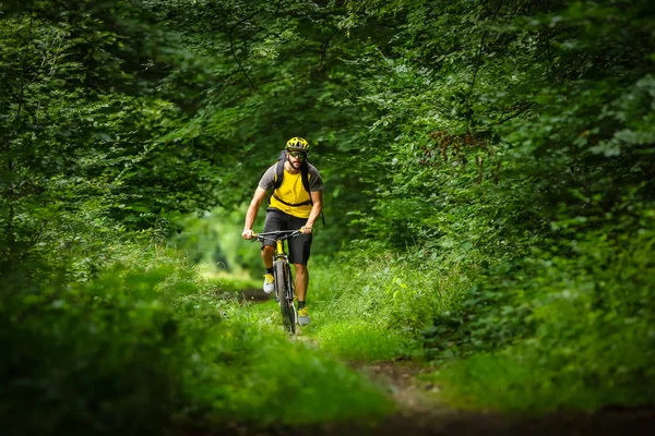 Motociclista Montanha Bicicleta Amarela Floresta — Fotografia de Stock