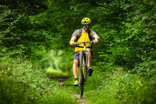 Motociclista Montanha Bicicleta Amarela Floresta — Fotografia de Stock