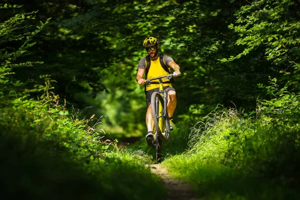 Motociclista Montanha Bicicleta Amarela Floresta — Fotografia de Stock