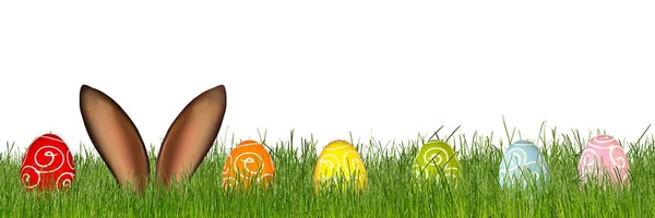 复活节兔子耳朵后面的草甸与五颜六色的装饰彩绘鸡蛋隔离全景背景 — 图库照片