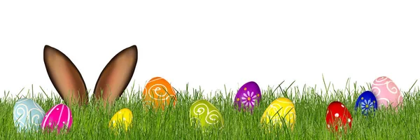复活节兔子耳朵后面的草甸与五颜六色的装饰彩绘鸡蛋隔离全景背景 — 图库照片