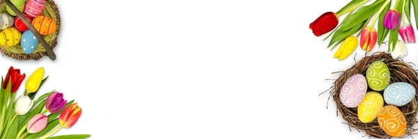 Барвиста Панорама Великодня Тюльпани Яєчні Гнізда Кошик Ізольовані Білому — стокове фото