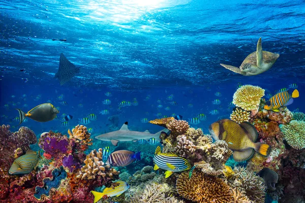 Unterwasser Korallenriff Landschaft Hintergrund Tiefblauen Ozean Mit Bunten Fischen Und — Stockfoto