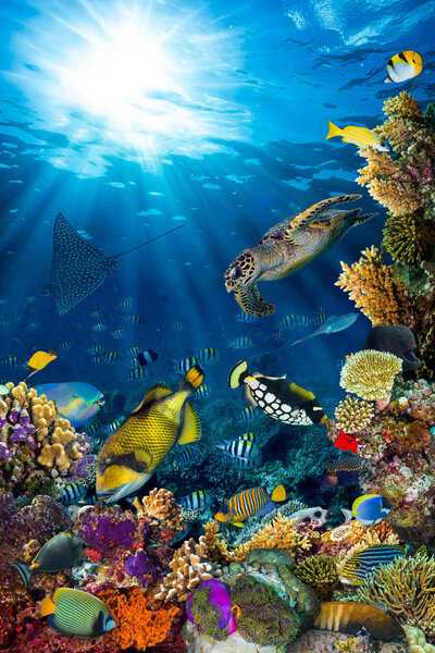 подводный коралловый риф пейзаж в глубоком голубом океане с красочными рыбами и морской жизнью
