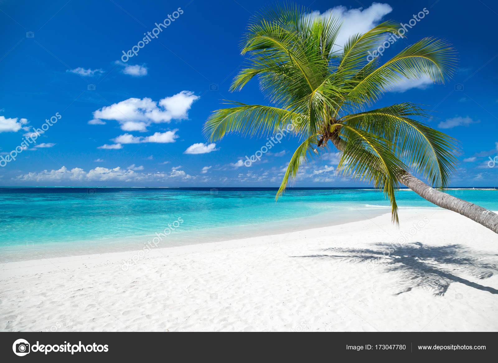 Tropical Paradise Beach Background Stock Photo Image By C Stockfoto Graf