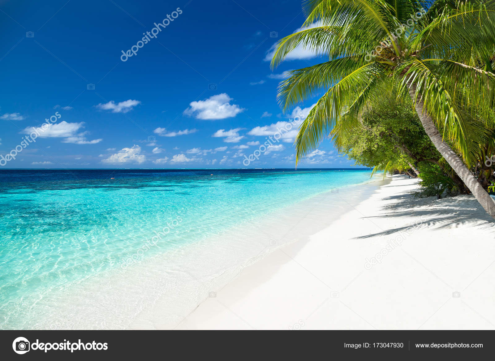 Paradis tropical  fond de  plage image  libre  de  droit  par 