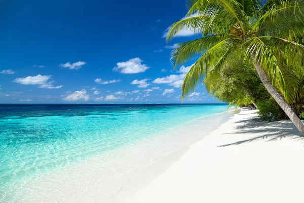 Paradiso tropicale spiaggia sfondo — Foto Stock