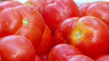 Bir sürü kırmızı domates arka planı var.