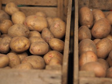 Tepside duran bir yığın organik patates.