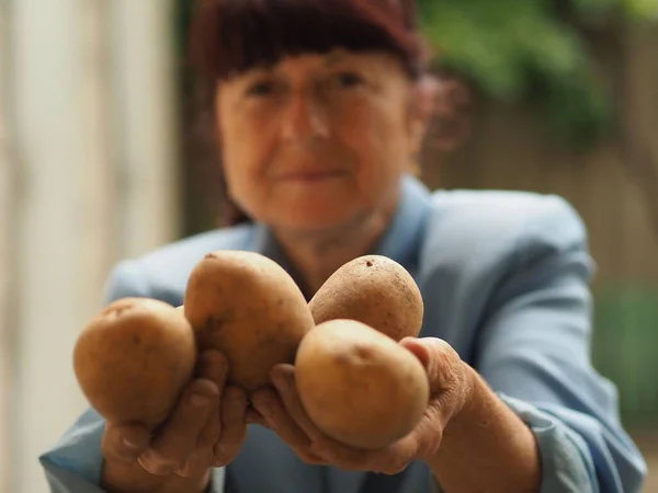 Uma Mulher Idosa Segura Uma Batata Nas Mãos — Fotografia de Stock