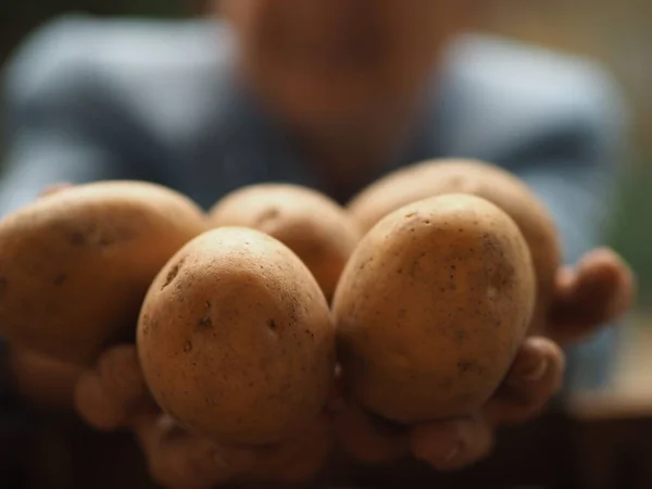 Uma Mulher Idosa Segura Uma Batata Nas Mãos — Fotografia de Stock