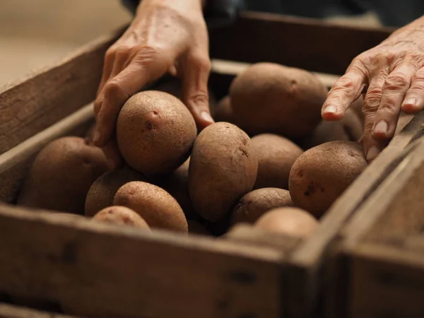 Elderly Woman Market Her Own Hands Puts Agro Potatoes Box — Stock Photo, Image