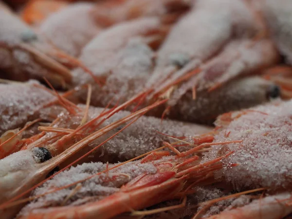 Defrost frozen shrimp covered with ice in the open air — Stock Image Defrost Frozen Shrimp Covered Ice Open Air Stock Image