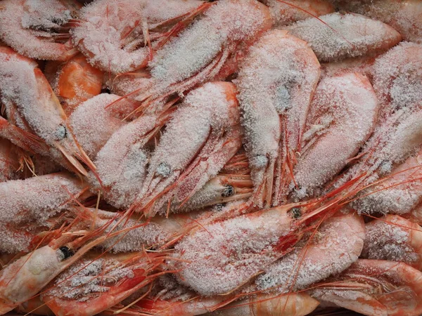Defrost frozen shrimp covered with ice in the open air — Stock Image Defrost Frozen Shrimp Covered Ice Open Air Stock Photo