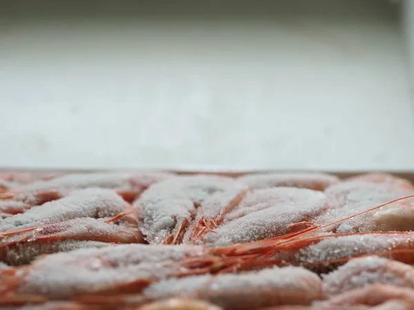 Defrost frozen shrimp covered with ice in the open air — Stock Image Defrost Frozen Shrimp Covered Ice Open Air Royalty Free Stock Photos