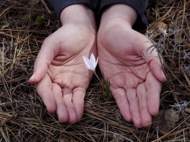 Aşk, kalp ve güzellik ellerinde.