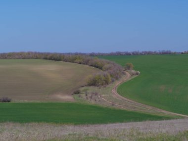 Çiftlik arazilerinin bahar manzarası