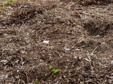 Şehir merkezindeki çöplük.