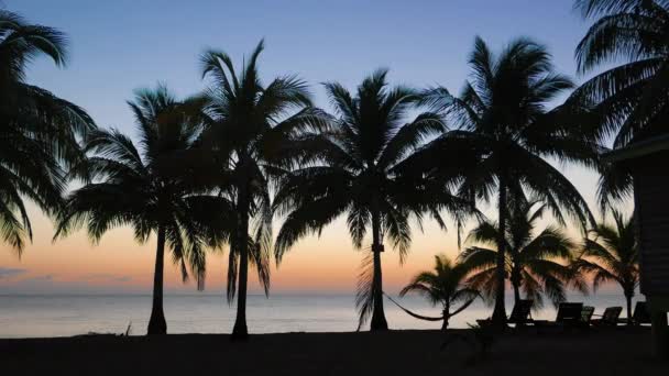 Солнце восходит над Карибским морем — стоковое видео