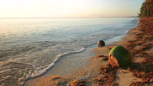 Vagues de la mer Courir sur la plage — Video