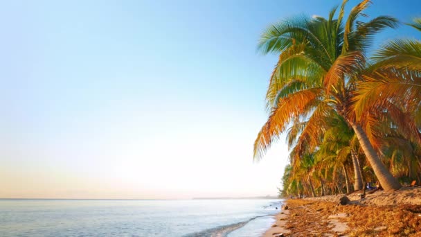 Lugn morgon scen från stranden — Stockvideo