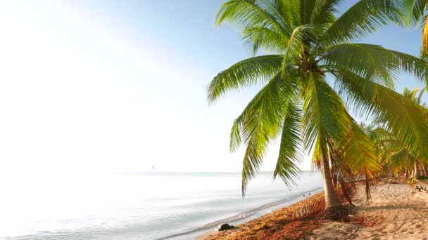 Tranquil escena clave alta luz del día de la playa — Vídeos de Stock