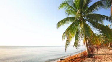 Plaj sakin yaz sahne