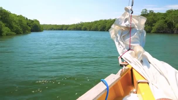 Bir nehir üzerinde yelken tekne — Stok video