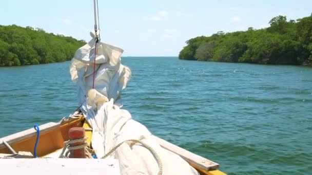 Främre titt på segelbåt på en flod — Stockvideo