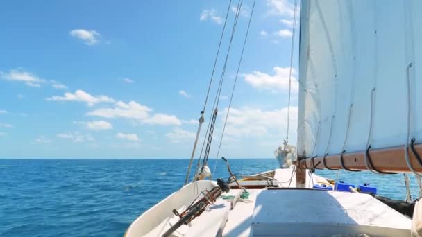 Вітрильний спорт на узбережжі Карибського моря — стокове відео