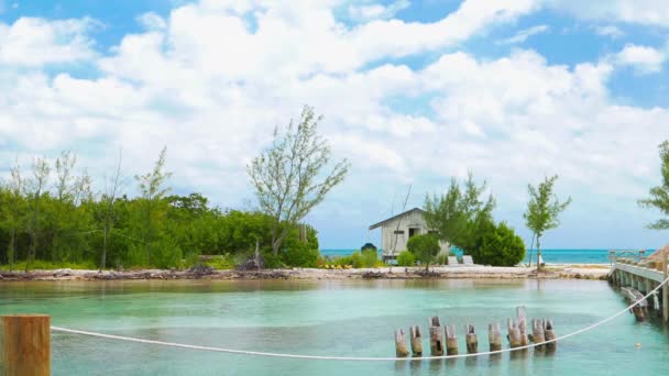 Caribe Coral Island — Vídeo de stock