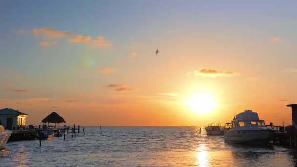 Лодки на пристани во время восхода солнца — стоковое видео