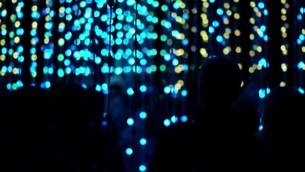 Толпа людей восхищается светодиодными лампочками — стоковое видео