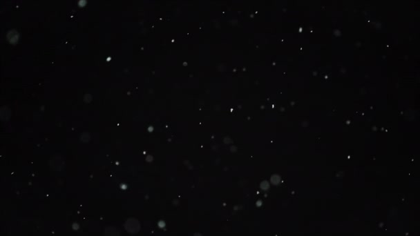 Sníh částice padající z noční oblohy — Stock video